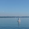 romanshorn bregenz 4_9_19_028_wookiees_brotherhood